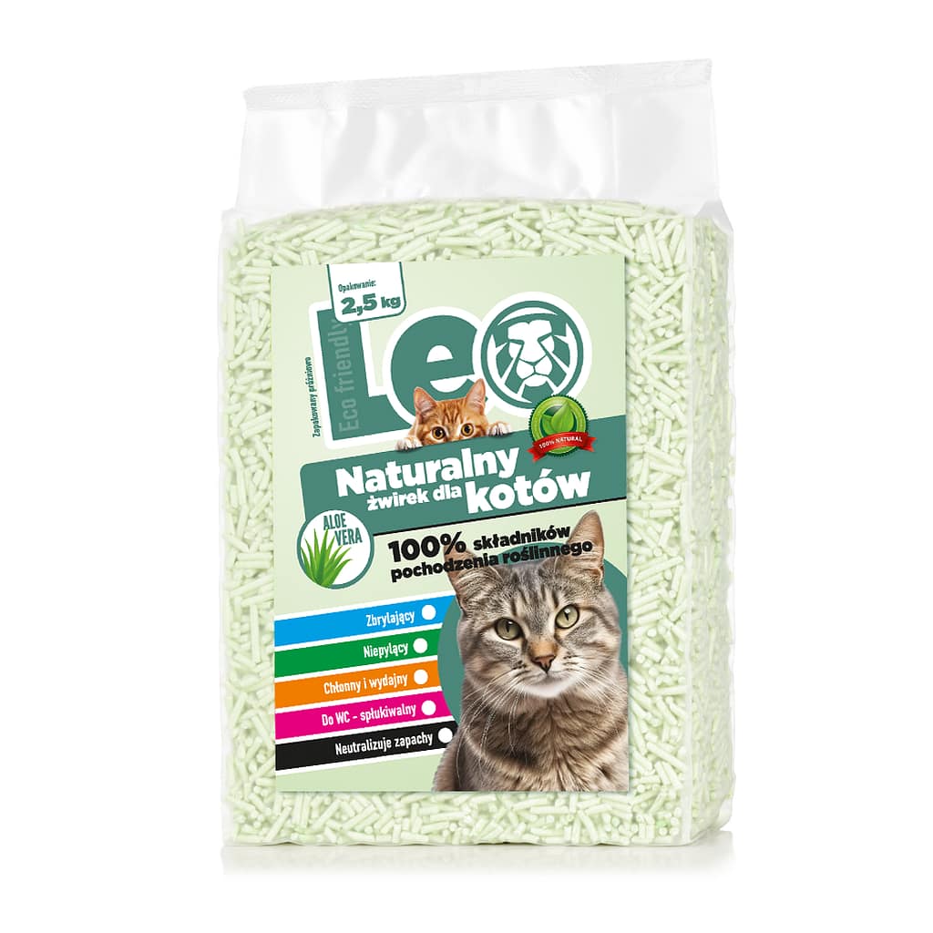 aloe vera 5 jahre Aloe Vera, XXL – toskanagartenshop